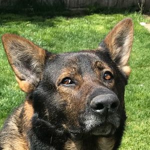 Meet your Posher, Kc